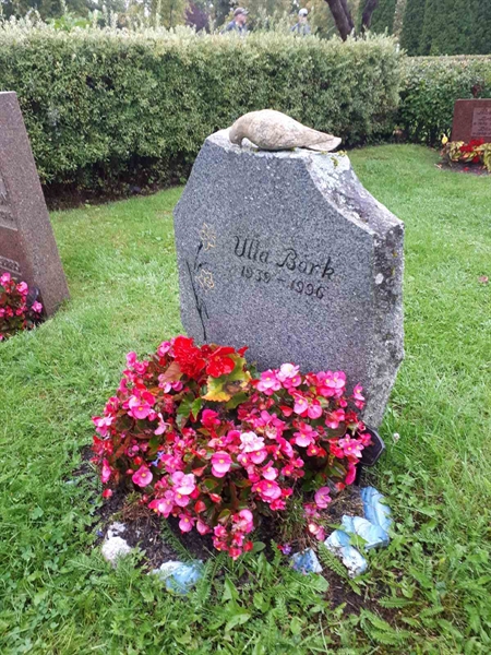 Gravnummer: NK F D   224