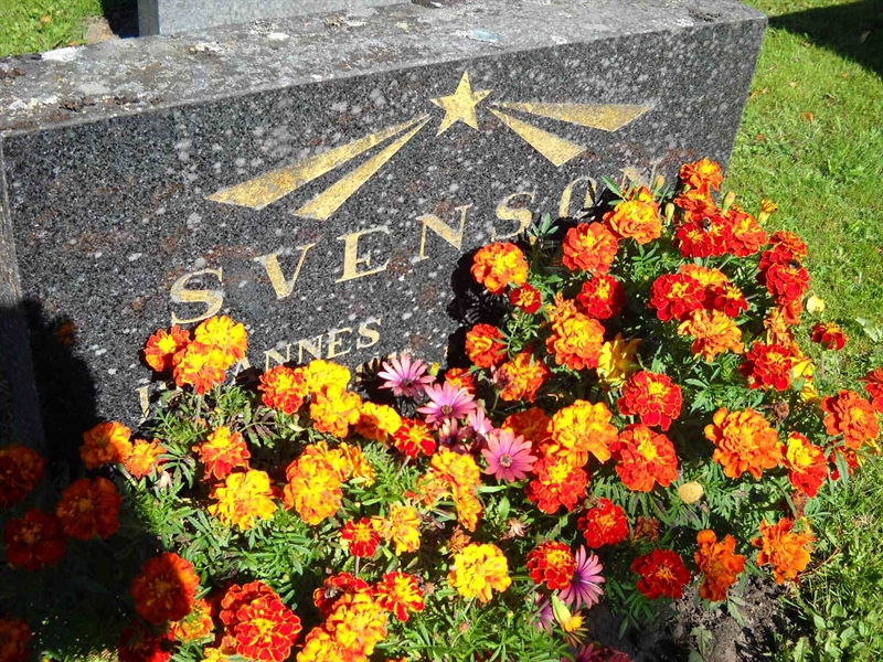 Grave number: 3 MB 18 43-44