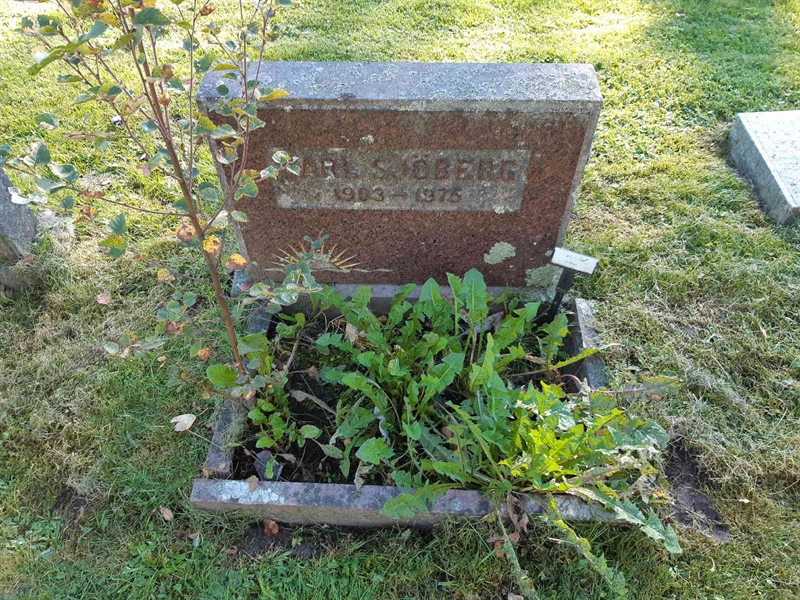 Grave number: Fr 7   140