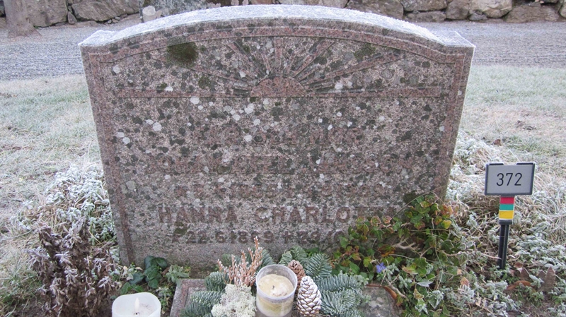 Grave number: KG D   372