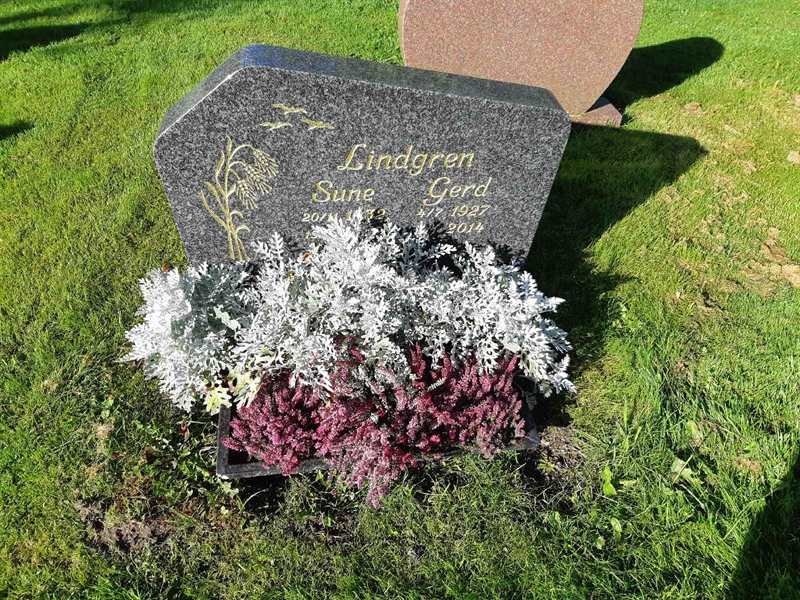 Hautatunnus: Fr 8   118-119