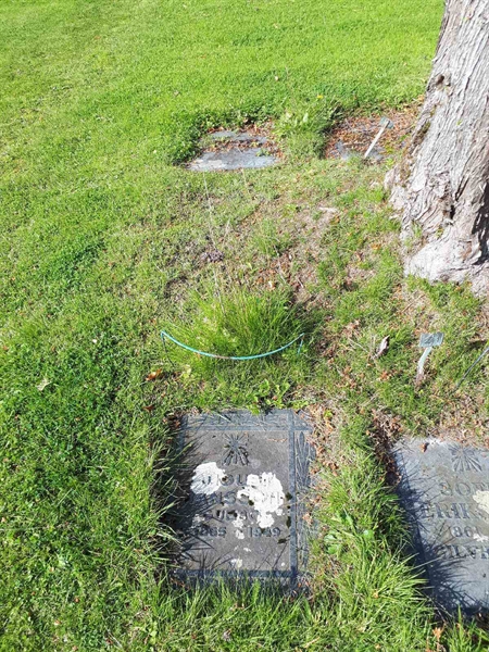 Gravnummer: NK A A   242