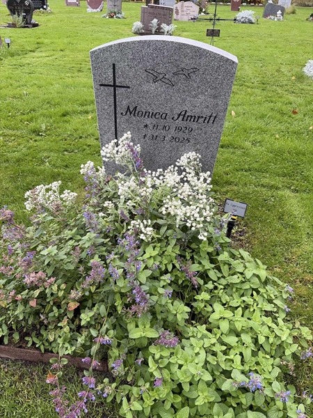 Grave number: 2 C   301