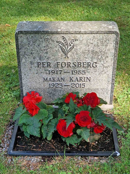 Grave number: 1 KV.8   449