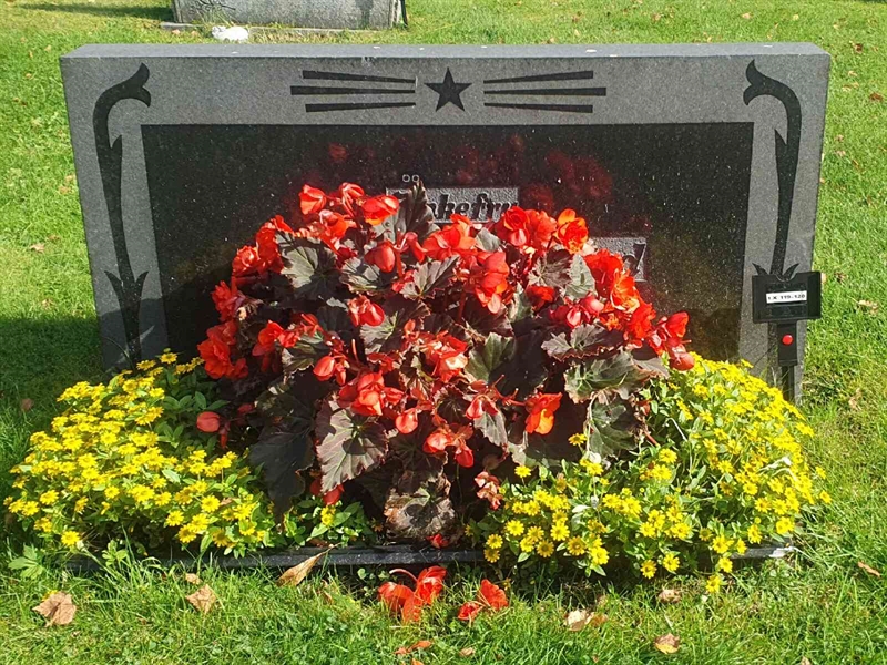 Grave number: 1 X   119-120