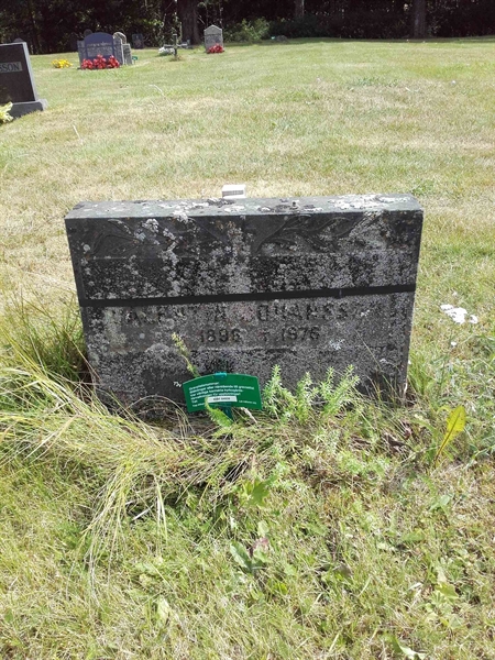 Grave number: VI Ö:A   189