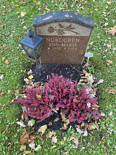 Hautatunnus: 1 H   499