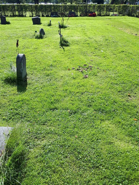 Gravnummer: NK A A   119