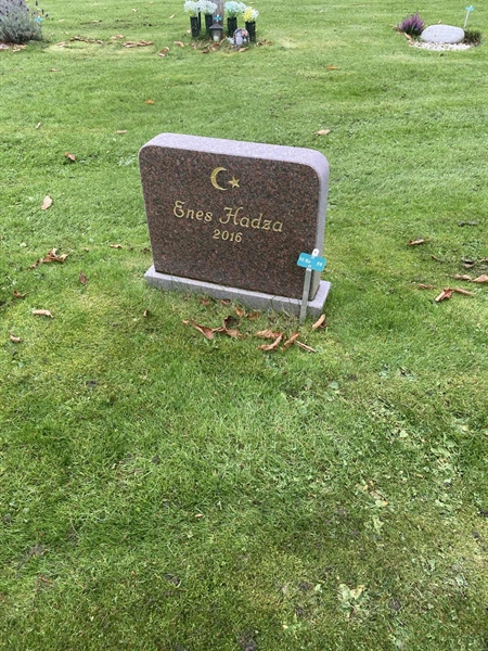 Hautatunnus: 1 3 M/Be    59