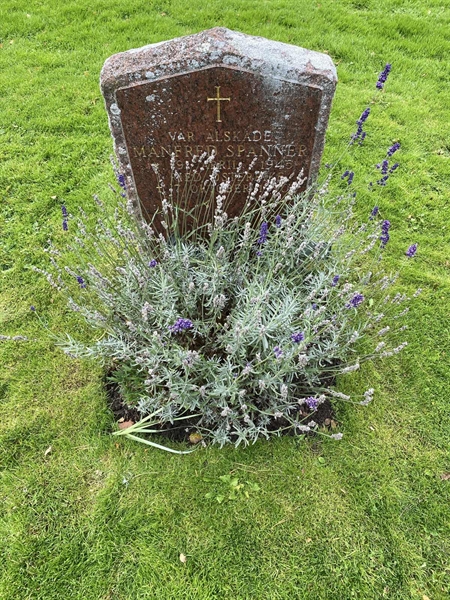 Hautatunnus: 2 C   534