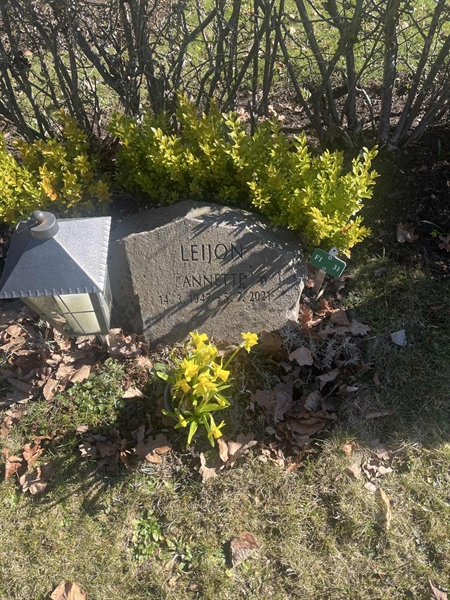 Grave number: 1 3 F1 31