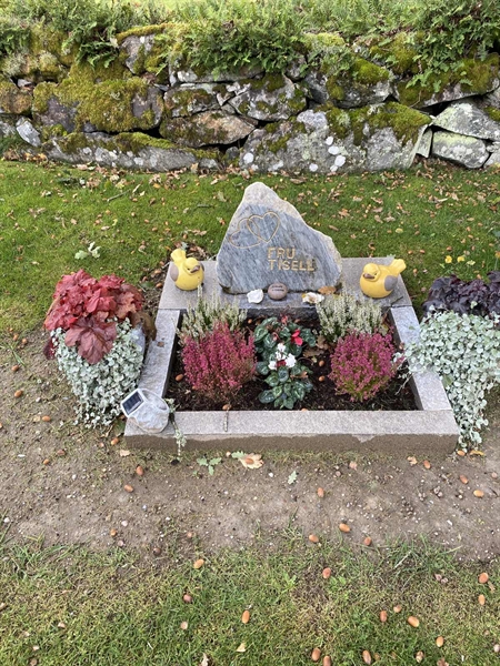 Hautatunnus: N 003 0098, 0099, 0100