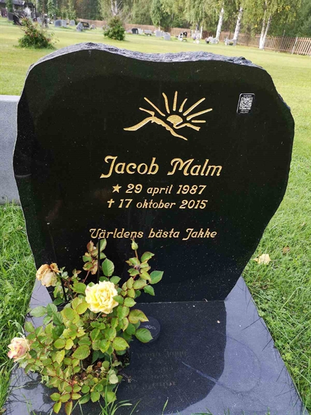 Hautatunnus: NK 20    86