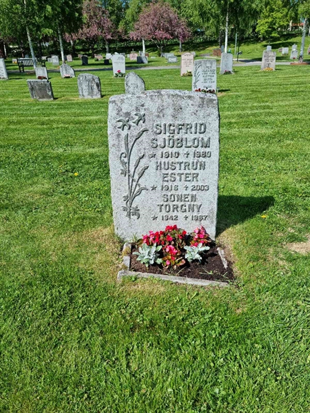 Grave number: D N 3   637-638