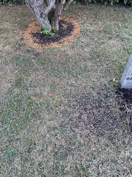 Grave number: NK I:u     1