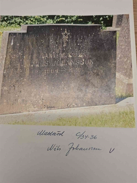 Gravnummer: 40 C    34-36