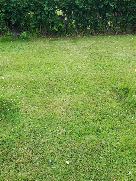 Hautatunnus: GK A 5   181V