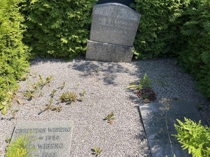 Grave number: NK VII    57