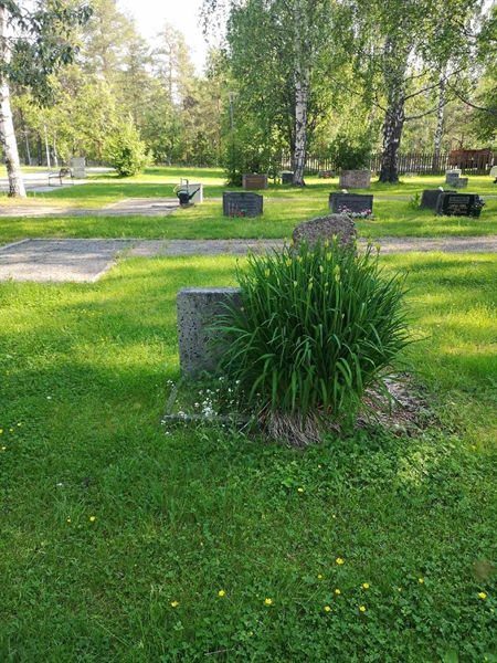 Gravnummer: NK 02    42