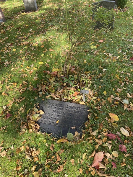 Hautatunnus: 1 H   187