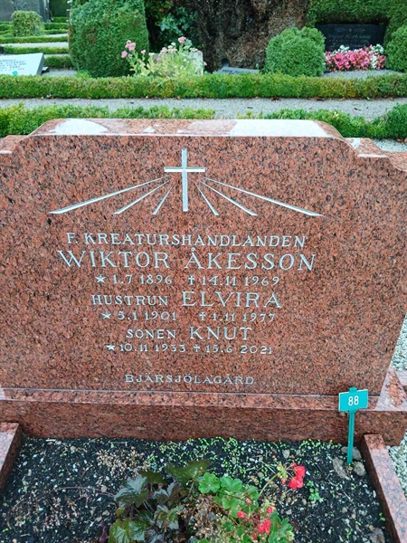 Hautatunnus: ÖK A 195, 196, 197