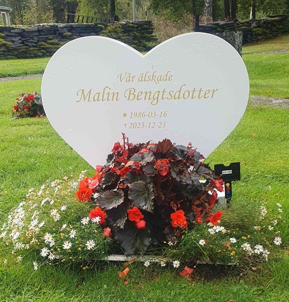 Hautatunnus: 1 Y   157