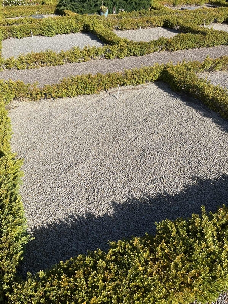 Grave number: NK E 99-100