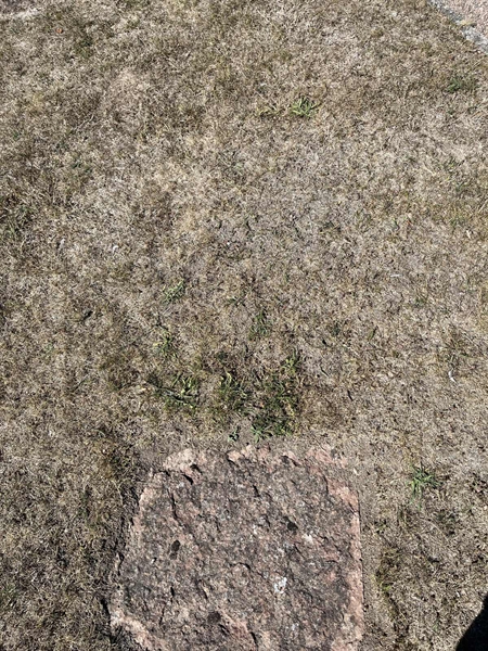 Grave number: NK I:u   425
