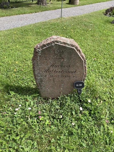 Grave number: 1 15   159