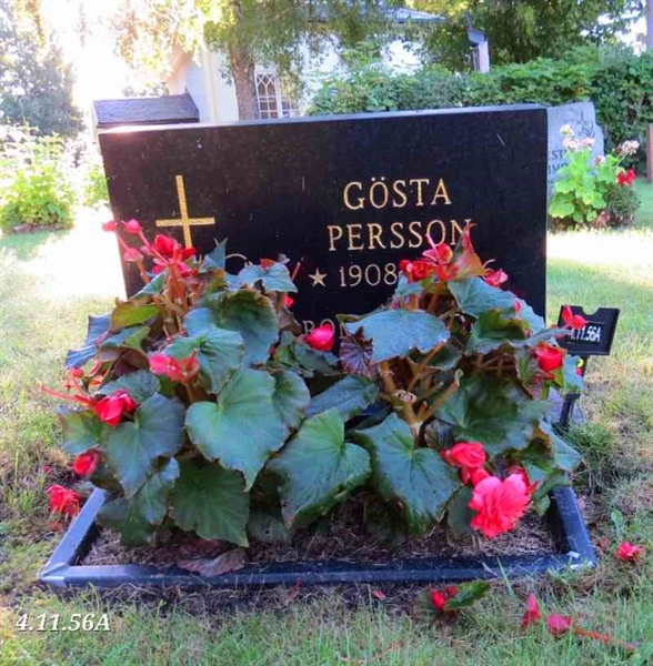 Grave number: 4 11    56A