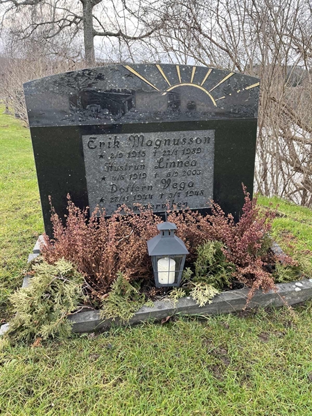 Hautatunnus: Vårv Kv1 94+95