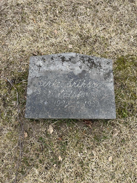 Grave number: R 3   113-E