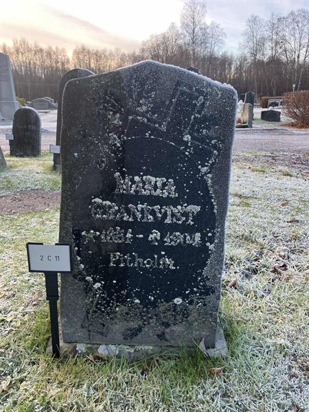 Gravnummer: 2 C    11