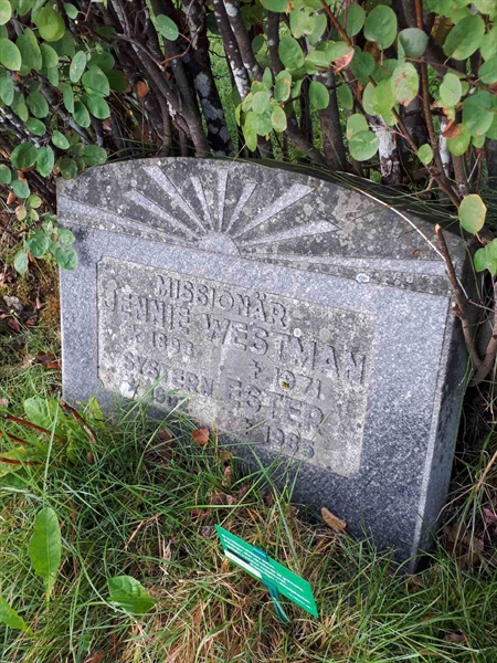 Hautatunnus: NK F B   181B