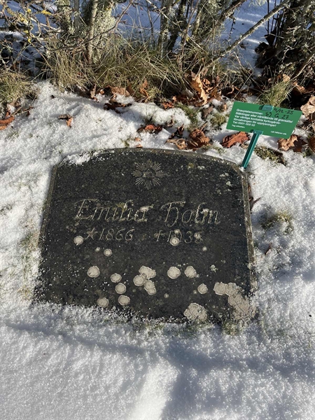 Gravnummer: SJ G    27