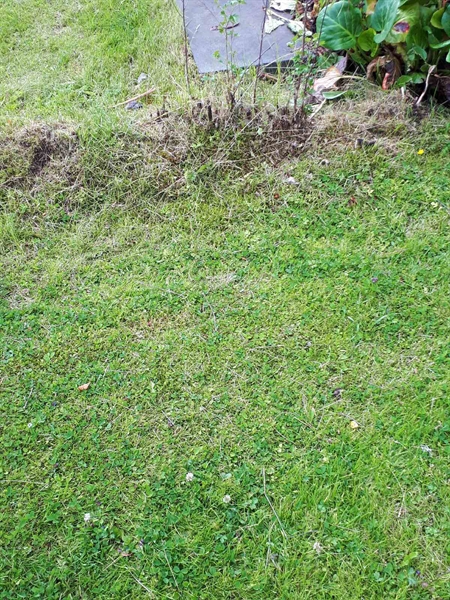 Gravnummer: GK A 5   186M