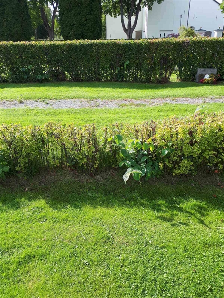 Gravnummer: NK F G   175