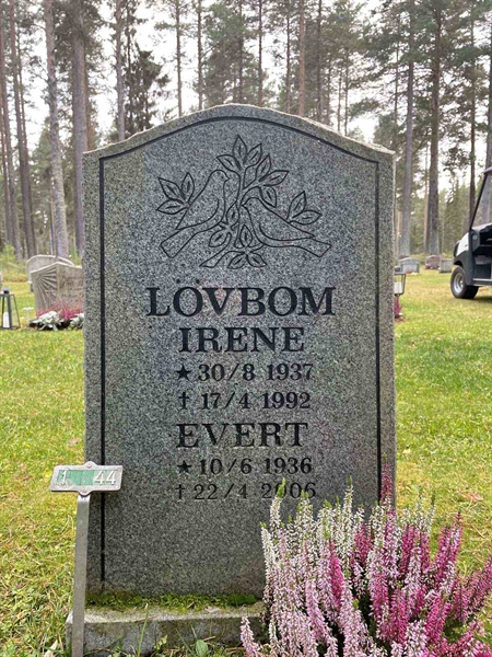 Grave number: 3 1    44