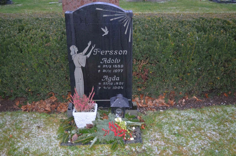 Grave number: TR 3   132