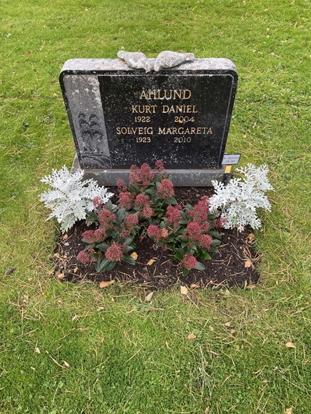 Hautatunnus: 2 C   566-567