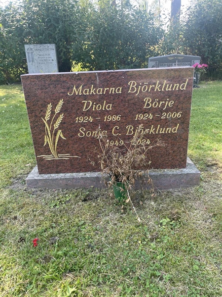 Grave number: 1 B1    45