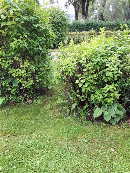 Gravnummer: GK F 5   575