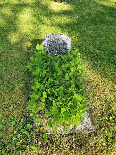 Hautatunnus: VK 0019