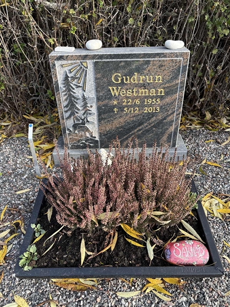 Grave number: 4 N ND   408