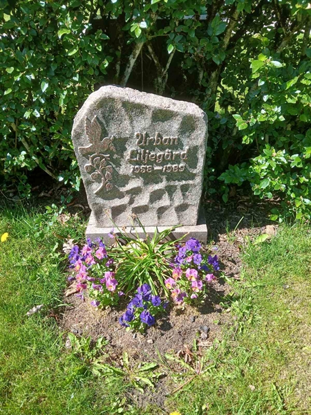 Grave number: Nå NV B   42