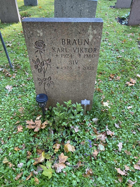 Gravnummer: 1 H   428