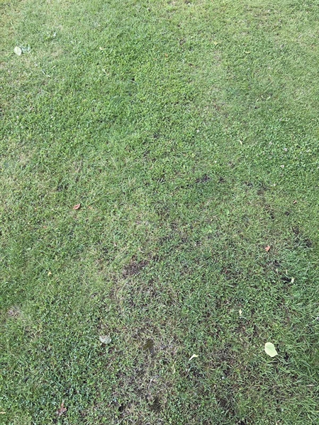 Grave number: SKF D   219, 220