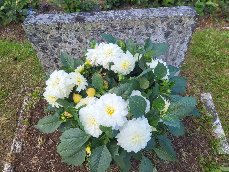 Grave number: 001 1   124