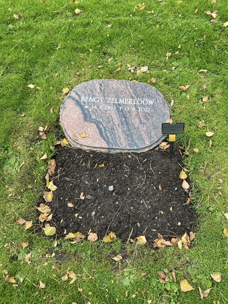 Hautatunnus: 2 C   737