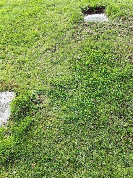 Gravnummer: NK A A   192